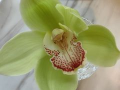 -金茂君悦·食在56海鲜自助餐厅ON56