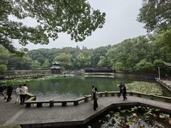-忠山公园