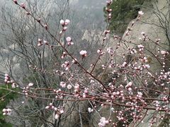 -北京凤凰岭