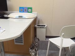 -安安宠医·臻爱宠物医院·宠保定点(营门口路分院)