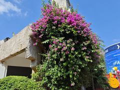 -成都欢乐谷