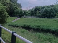 -黛秀湖公园