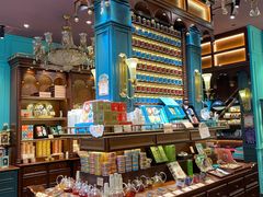 -布兰兔的植物庄园(杭州南宋御街店)
