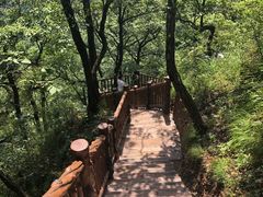 -塔云山