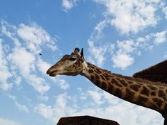 -济南野生动物世界