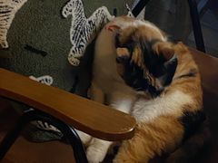 -BUND·FIVE外滩5号(天际店)