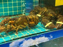 -坛南湾阿强农家乐.海鲜大排档老字号(福州地标美食店)