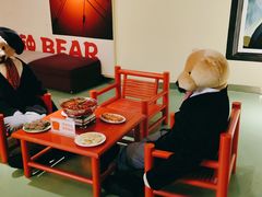 -成都泰迪熊博物馆