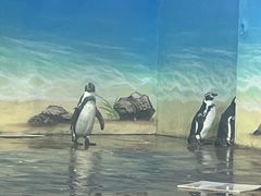 -海合安武汉极地海洋公园