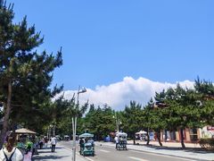 -日照海滨国家森林公园