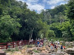 -广州白江湖森林公园