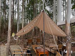 -桉树林A coffee 森林餐厅(三圣乡店)