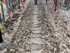 -众神白水涧景区