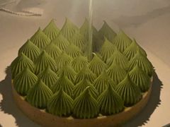 抹茶挞-猫里有甜
