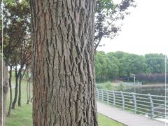 -美兰湖景区