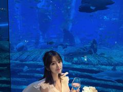 -亚特兰蒂斯•OSSIANO奥西亚诺海底餐厅