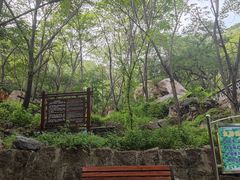 -大岭沟猕猴桃谷风景区
