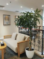 -北京亚运村美中宜和妇儿医院