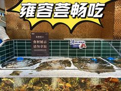 -雍容荟活波龙自助餐(IFS黑金店)