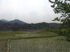 iphone_upload_pic-红山村