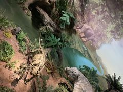 -湖南省地质博物馆