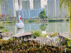 -宁波儿童公园(鄞州区)