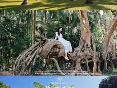 -中国科学院西双版纳热带植物园