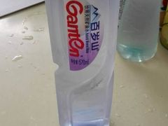 百歲山-南沙辉记烧鸡·荔枝木炭火吊烧(旧镇店)
