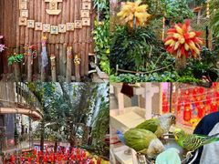 -正佳雨林生态植物园