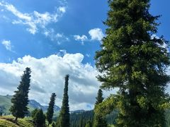 -新疆那拉提国家旅游度假区