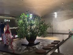 -隐溪茶馆(静安寺店)