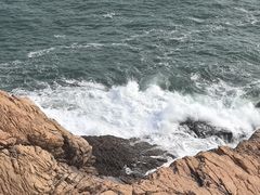 -广东惠东海龟国家级自然保护区