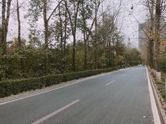 -三圣花乡旅游区