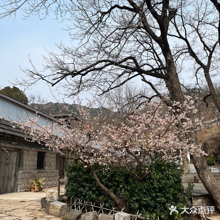 柴米油盐酱醋茶 琴棋书画诗酒花