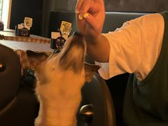 -拆调计划音乐酒吧(上海新世界休闲生活广场店)