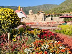 -北京十三陵国家森林公园蟒山景区