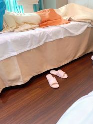 -哈颜科技轻美·