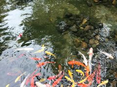 -海南文笔峰盘古文化旅游区