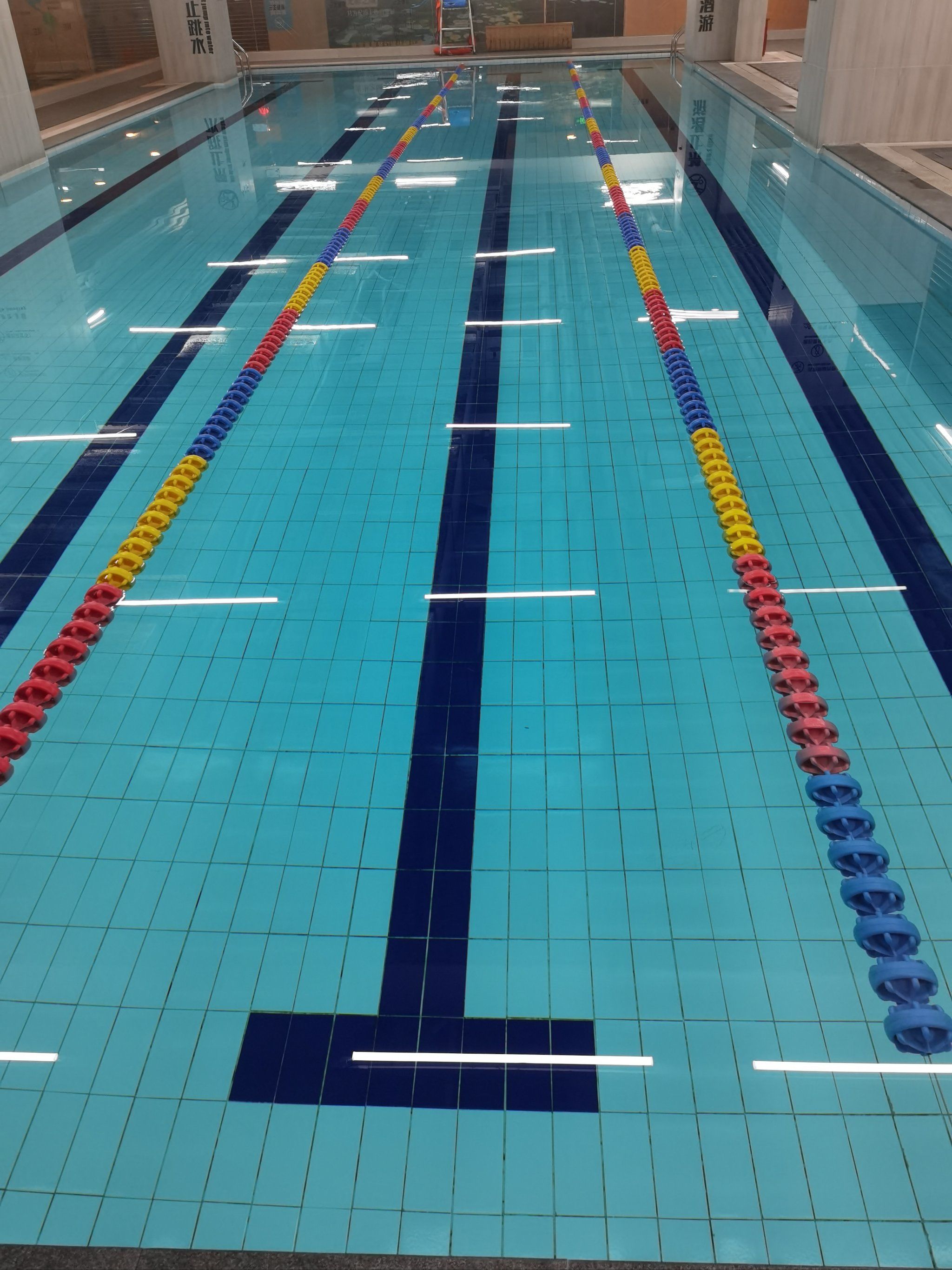 温润如蓝宝石的泳池水,排列整齐的器材.健