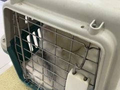 -天宠宠物医院24小时·急重症诊疗中心·全科·腔镜特色(和平分院)