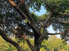 -晓港公园
