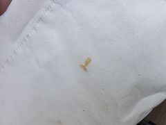 -沃尔玛(星湖商业城店)