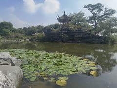 -顺峰山公园