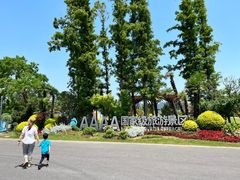 -上海长兴岛郊野公园