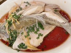 -HOHO餐厅(古子城店)