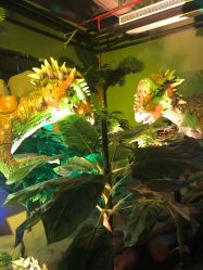 点击看大图 -恐龙探索乐园(磁器口店)