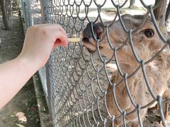 -西安秦岭野生动物园