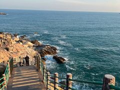 -广东惠东海龟国家级自然保护区