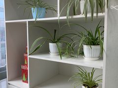 -瑞尔齿科(上海长风大悦城店)