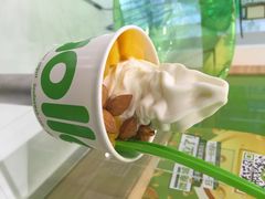 llaollao(又优)冻酸奶(建外SOHO店)-Salud撒露欧洲冻酸奶(北苑上品店)